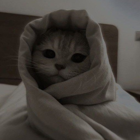 Кирилл Игошин